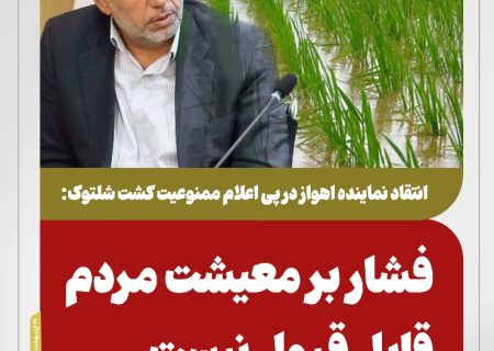 انتقاد نماینده اهواز در پی اعلام ممنوعیت کشت شلتوک/فشار بر معیشت مردم قابل قبول نیست