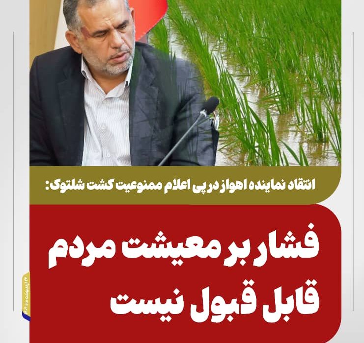 انتقاد نماینده اهواز در پی اعلام ممنوعیت کشت شلتوک/فشار بر معیشت مردم قابل قبول نیست