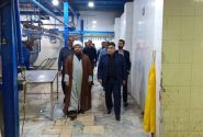 فرماندار مسجدسلیمان از روند تولید و توسعه کشتارگاه صنعتی صحرا بازدید کرد