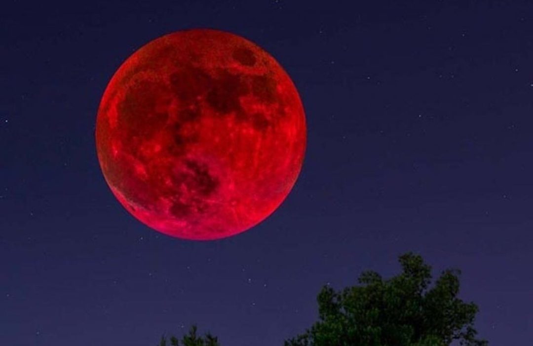 ماه خونین در آسمان ایران امشب مهمان ناخوانده سایه زمین را تماشا کنید