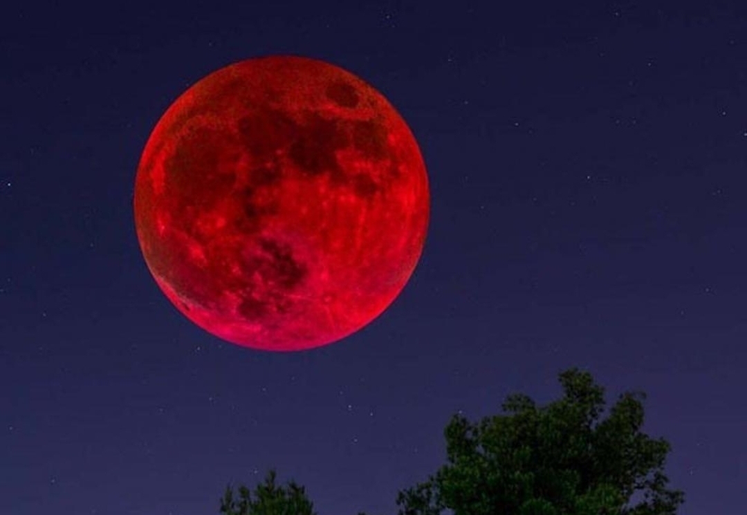 ماه خونین در آسمان ایران امشب مهمان ناخوانده سایه زمین را تماشا کنید